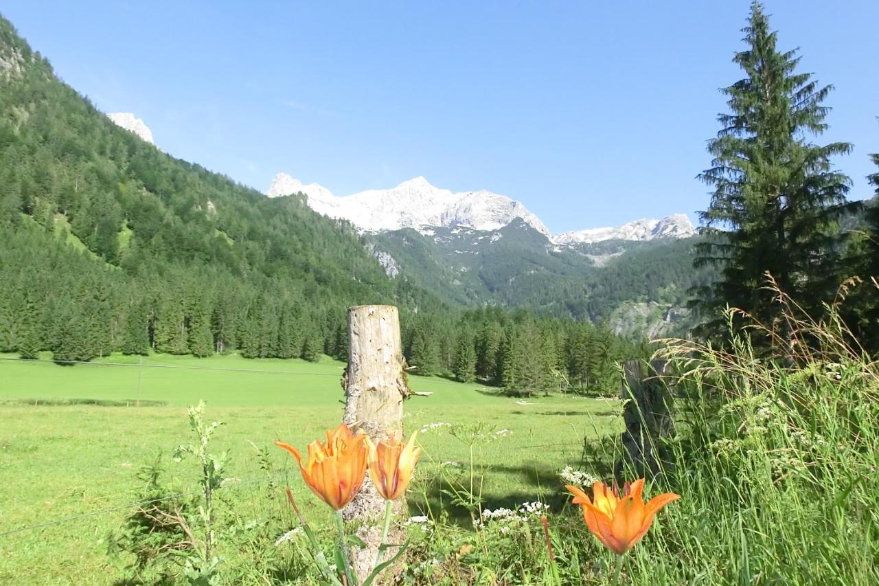 Hotel Garni Landhaus Buertlmair Hinterstoder Exterior foto